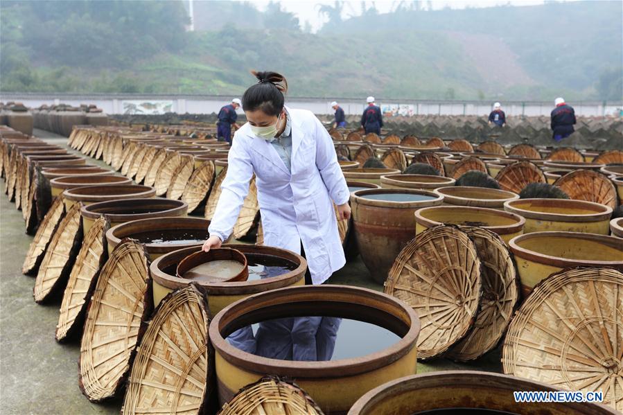 #CHINA-GUIZHOU-VINEGAR (CN)