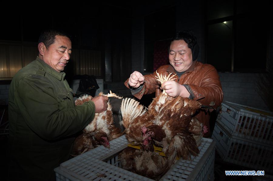 #CHINA-HEBEI-SHIJIAZHUANG-STEWED CHICKEN (CN)