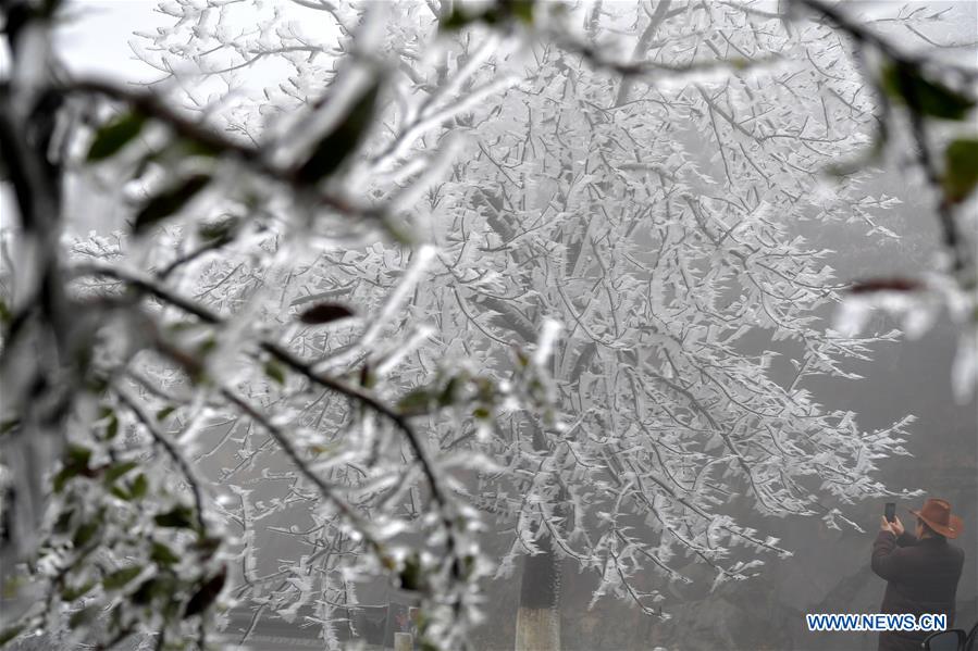 CHINA-JIANGXI-NANCHANG-FROST (CN)