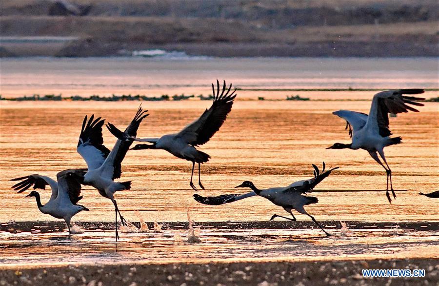 XINHUA PHOTO WEEKLY CHOICES