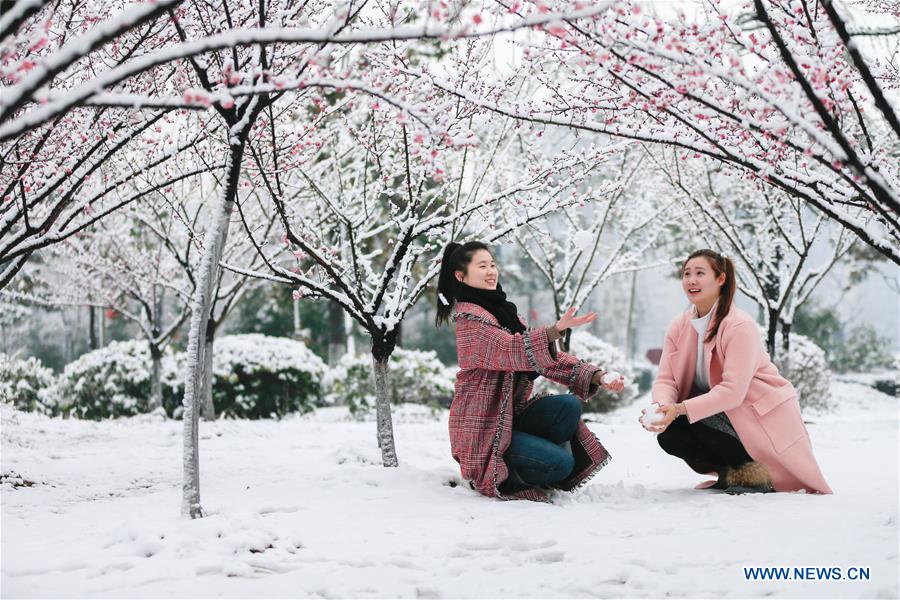 #CHINA-JIANGSU-PLUM BLOSSOM(CN)