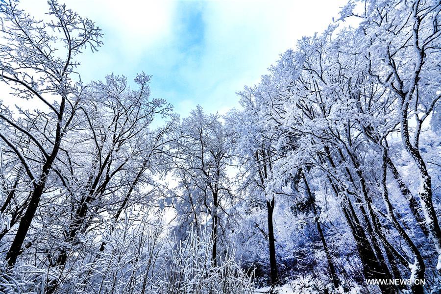 #CHINA-SHAANXI-ZIBAI MOUNTAIN-SNOWFALL (CN*)