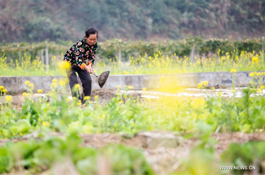 #CHINA-EARLY SPRING-AGRICULTURE (CN)