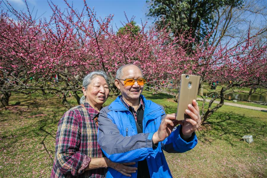 CHINA-HUNAN-CHANGSHA-PLUM BLOSSOMS (CN)