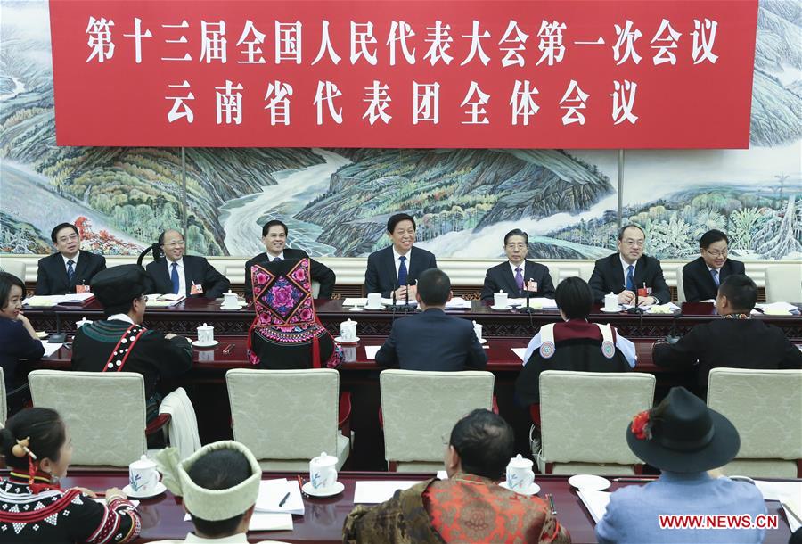 (TWO SESSIONS)CHINA-BEIJING-LI ZHANSHU-NPC-PANEL DISCUSSION (CN)