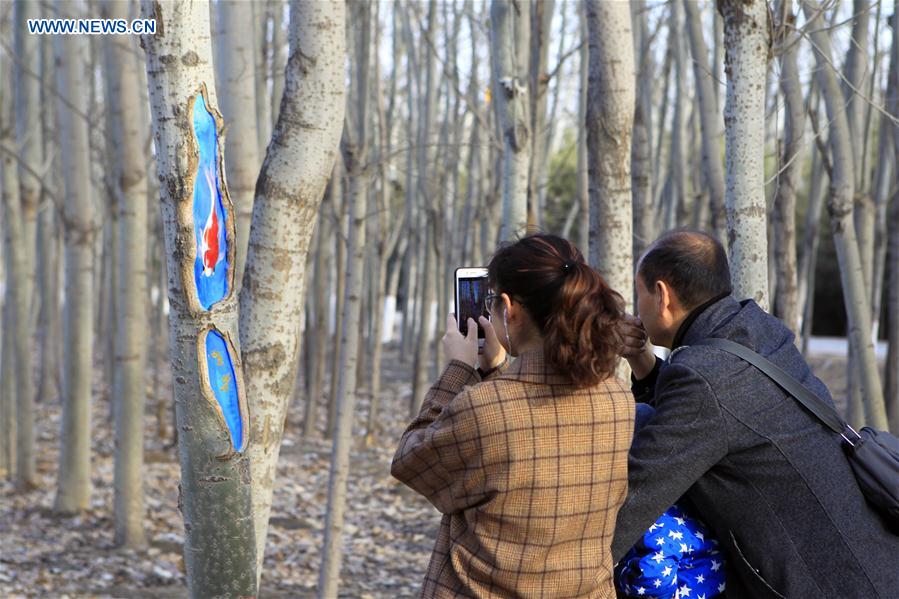 CHINA-NINGXIA-TREES-DRAWING (CN)