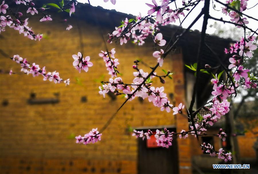 #CHINA-SPRING VIEWS (CN)