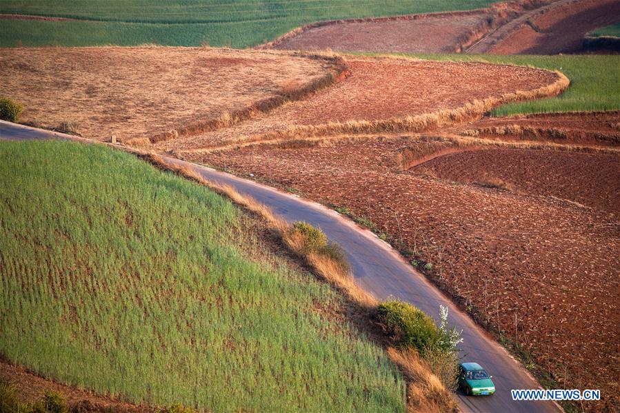 CHINA-YUNNAN-DONGCHUAN RED LAND-SCENERY (CN)