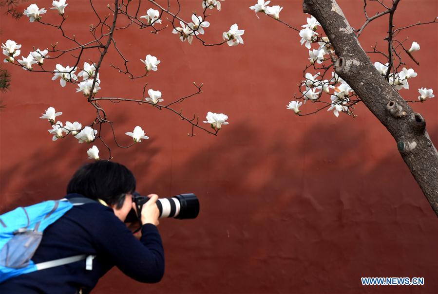 CHINA-BEIJING-SPRING-LEISURE (CN)