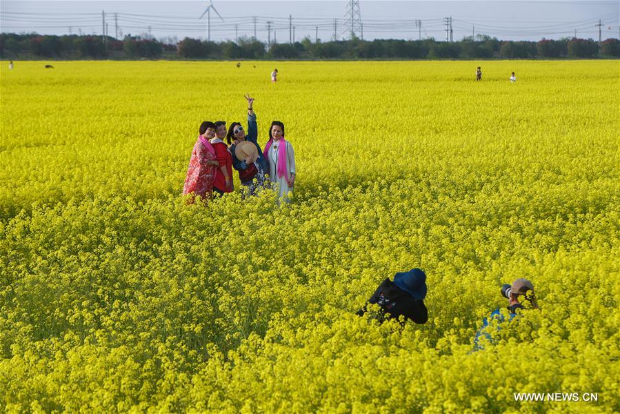 CHINA-ZHEJIANG-COLE FLOWER(CN)