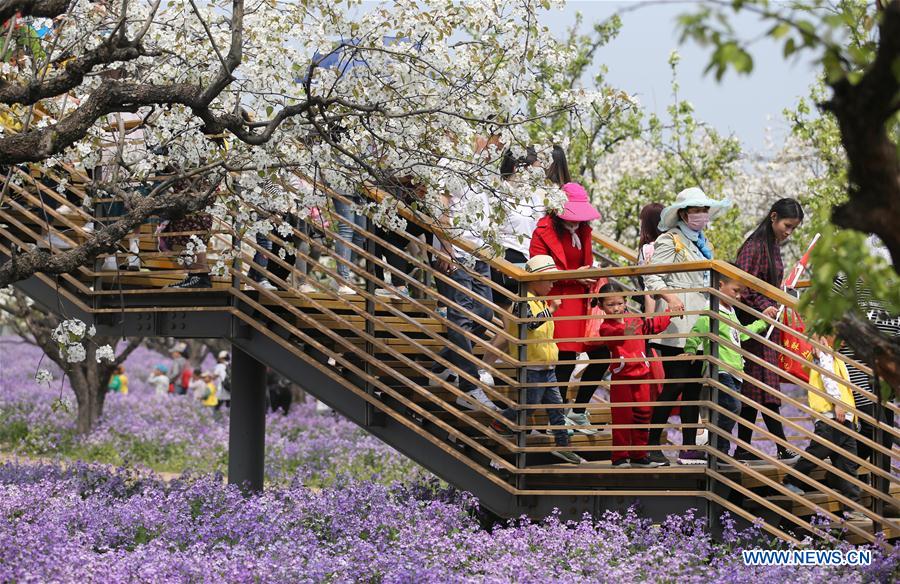 #CHINA-JIANGSU-SUQIAN-SPRING SCENERY (CN)