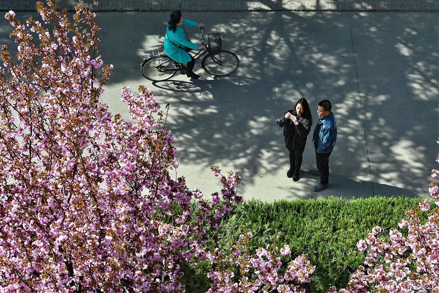 CHINA-SHANXI-SPRING SCENERY (CN)