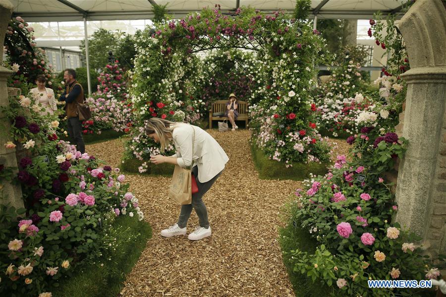 BRITAIN-LONDON-CHELSEA FLOWER SHOW