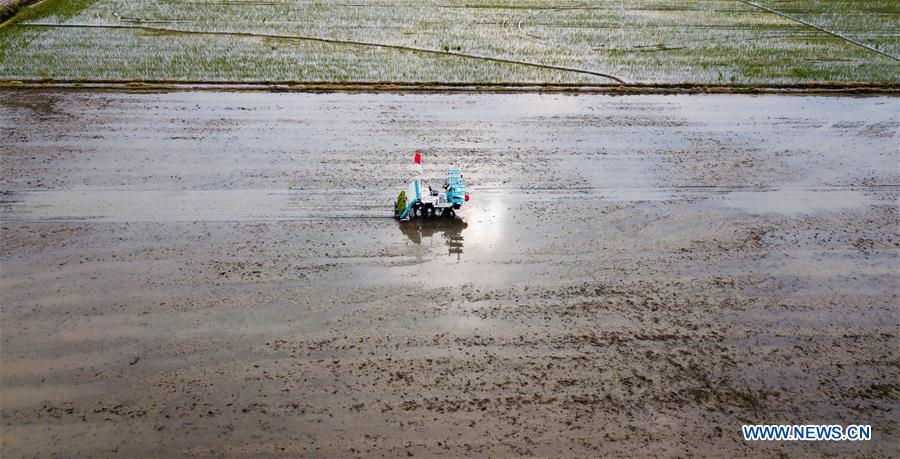 CHINA-JIANGSU-AGRICULTURE-TECHNOLOGY-PILOT PROGRAM (CN)