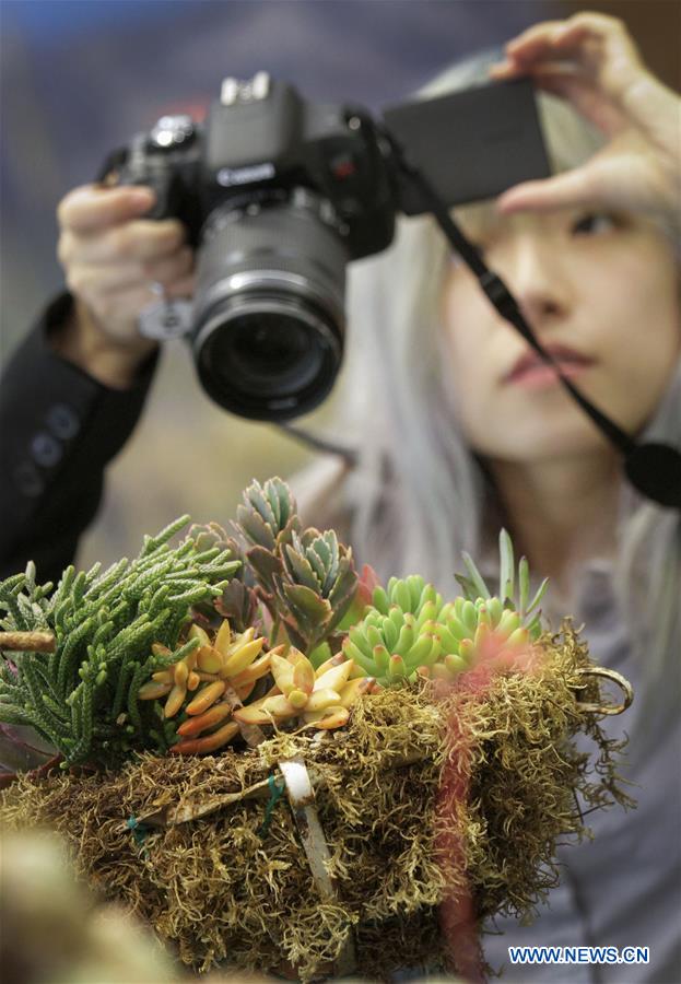 CANADA-VANCOUVER-DESERT PLANT SHOW