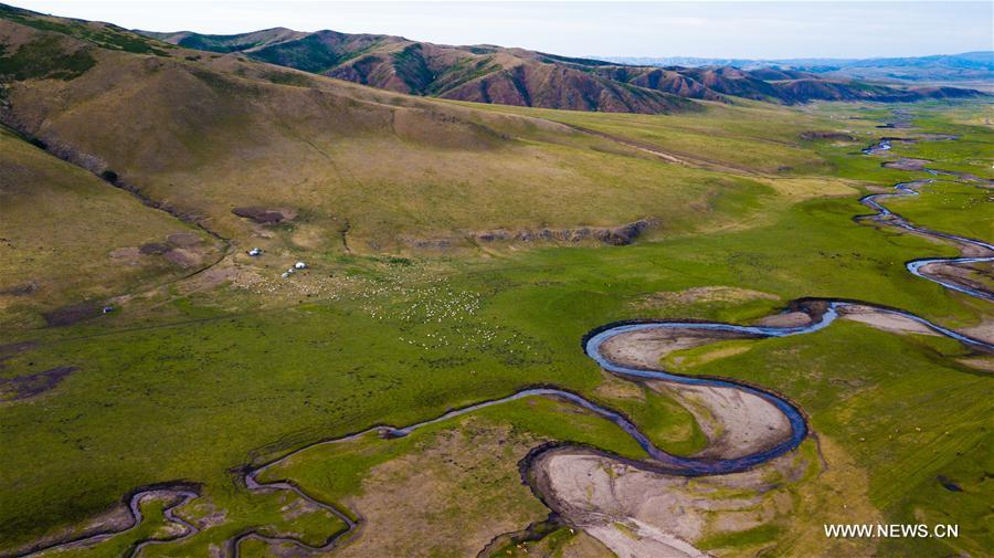 CHINA-INNER MONGOLIA-LIVESTOCK TRANSFER-SUMMER PASTURE (CN)