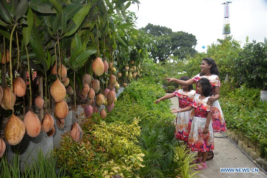 BANGLADESH-DHAKA-TREE-PLANTING-CAMPAIGN