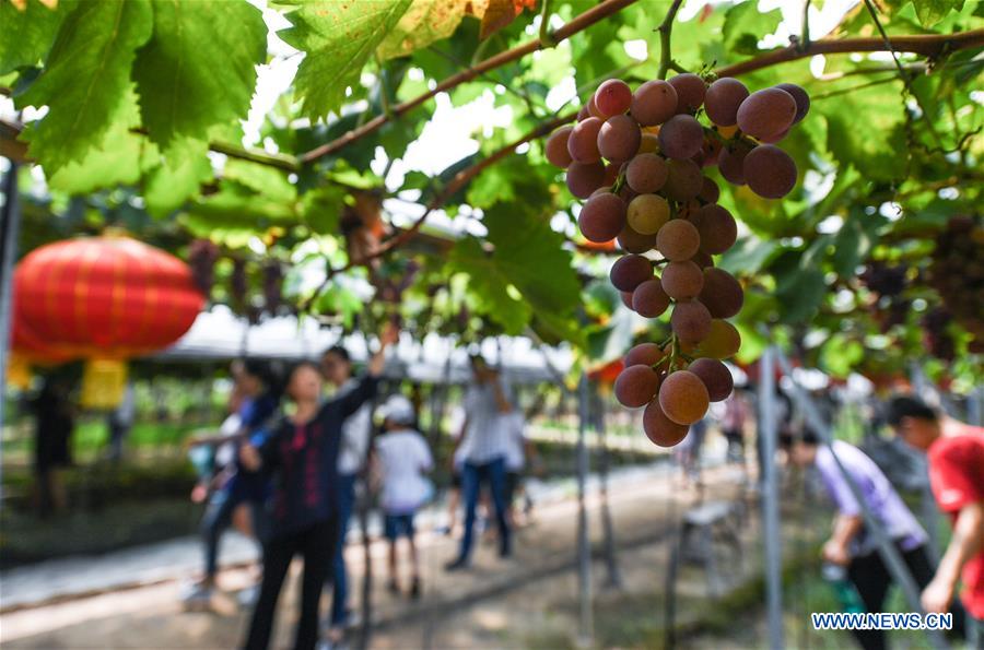 CHINA-ZHEJIANG-VILLAGE-TOURISM (CN)