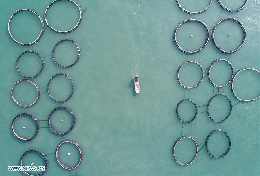 CHINA-ZHEJIANG-WENZHOU-MARICULTURE (CN)