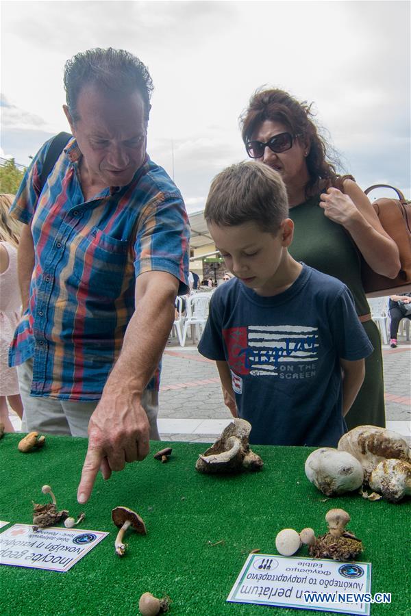 GREECE-KALABAKA-MUSHROOM FESTIVAL