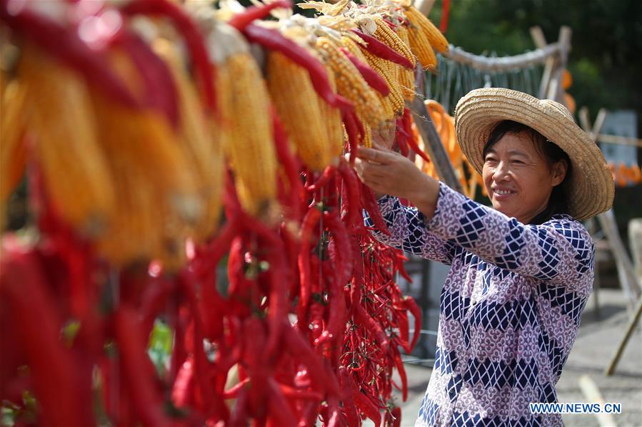 #CHINA-ANHUI-HUANGSHAN-AIRING CROPS (CN)