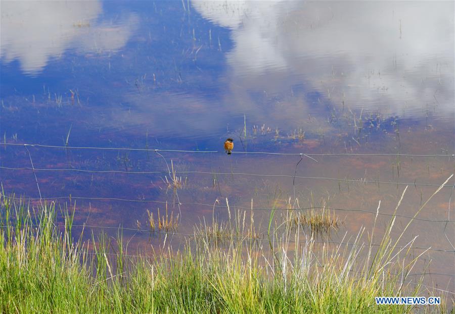 CHINA-TIBET-XIGAZE-SCENERY (CN)