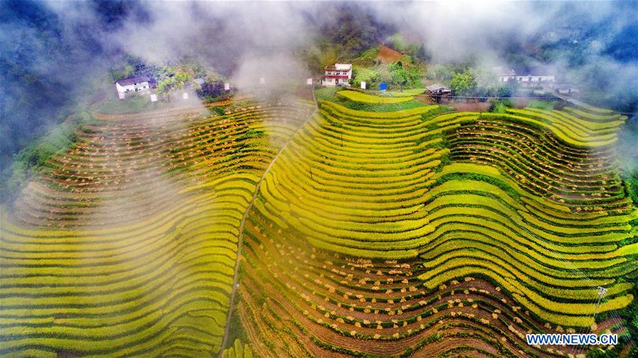 CHINA-SHAANXI-TERRACED FIELDS (CE)