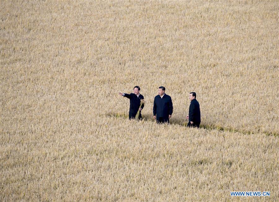 CHINA-HEILONGJIANG-XI JINPING-INSPECTION (CN)