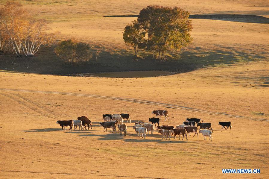 #CHINA-INNER MONGOLIA-SCENERY (CN)