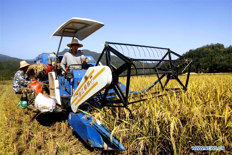 #CHINA-JIANGXI-AGRICULTURE-HARVEST (CN)