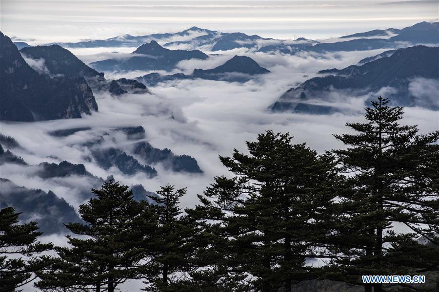 CHINA-HUBEI-SHENNONGJIA-SCENERY (CN)