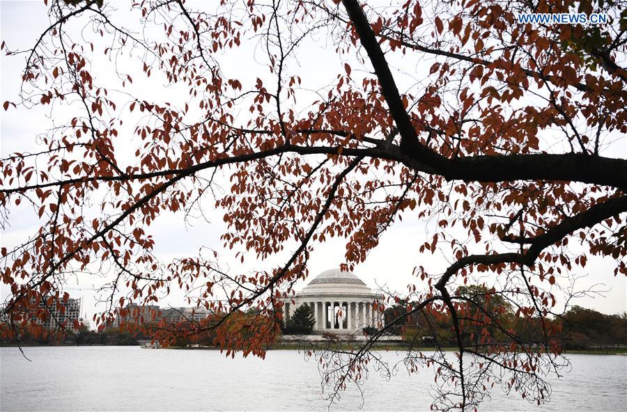 U.S.-WASHINGTON D.C.-TIDAL BASIN-AUTUMN