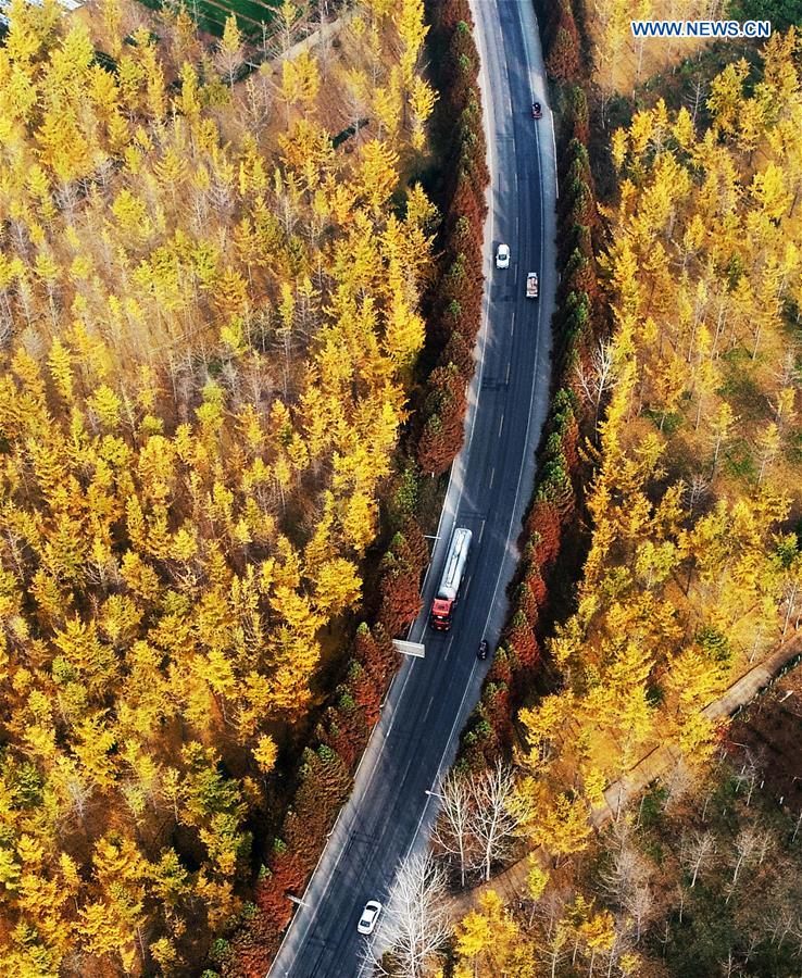 XINHUA PHOTO WEEKLY CHOICE