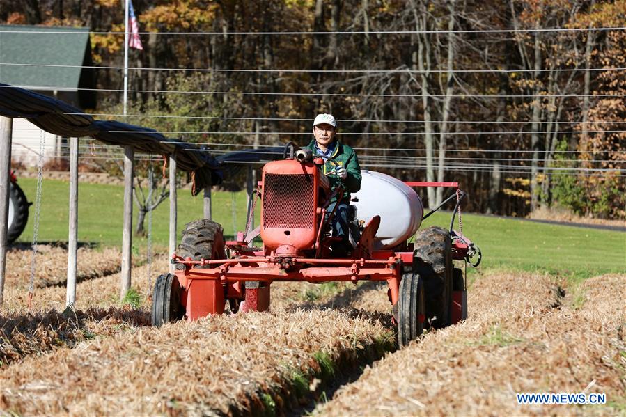 Xinhua Headlines: Merchants from U.S. state of Wisconsin seek Chinese buyers for growth