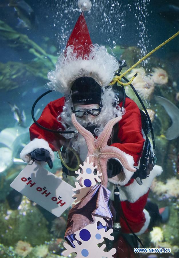 CANADA-VANCOUVER-AQUARIUM-CHRISTMAS