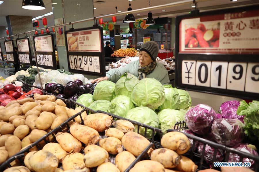 #CHINA-ECONOMY-CPI-NOVEMBER (CN)