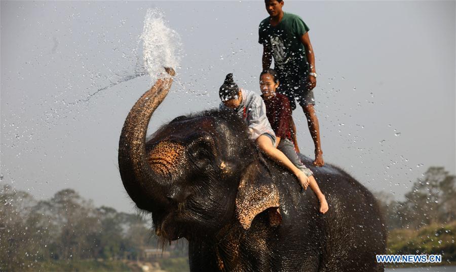 NEPAL-CHITWAN-ELEPHANT FESTIVAL