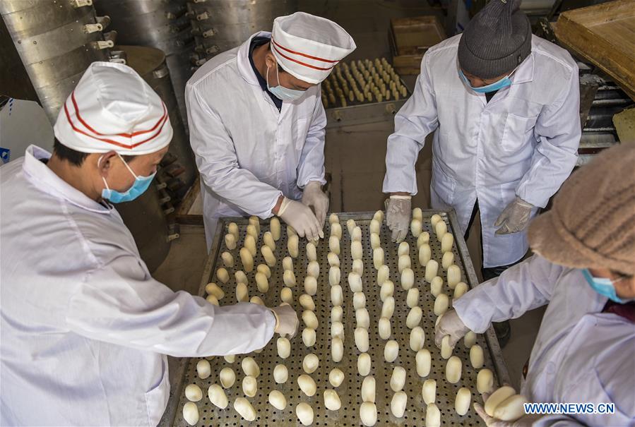 CHINA-HEBEI-GUCHENG-STEAMED BUN (CN)