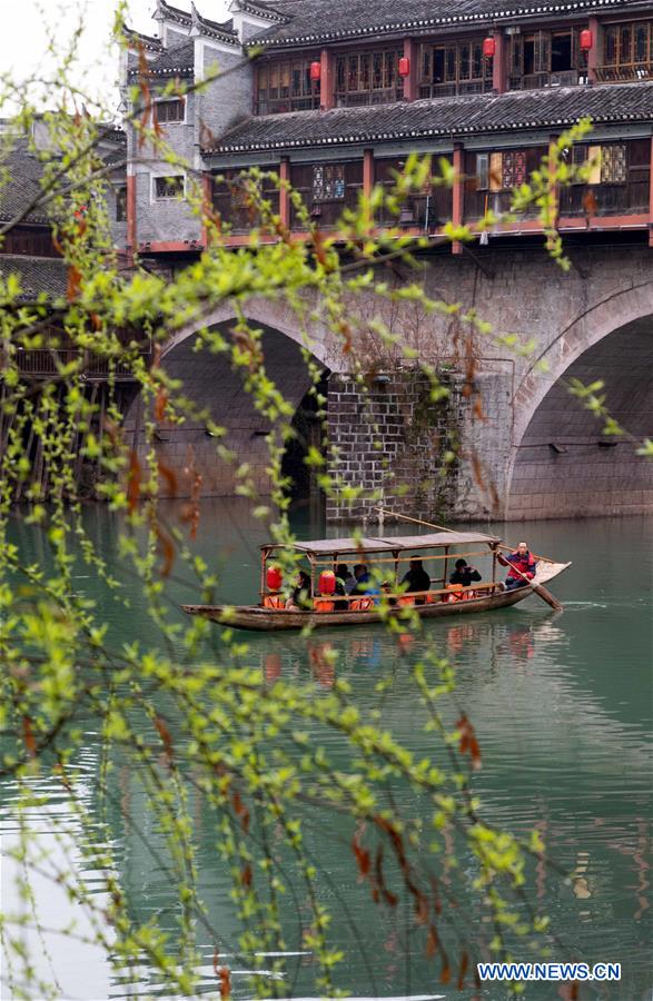 #CHINA-SPRING-WILLOW (CN)