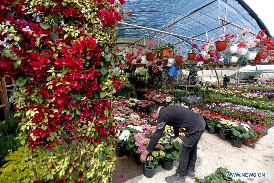 LEBANON-BEIRUT-MOTHER'S DAY-FLOWER