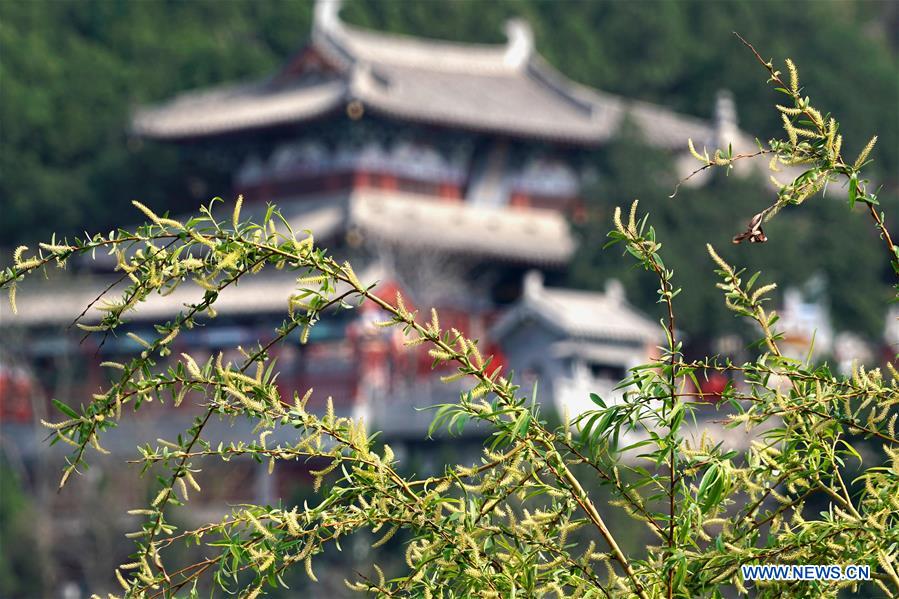 CHINA-HENAN-LUOYANG-LONGMEN GROTTOES (CN)