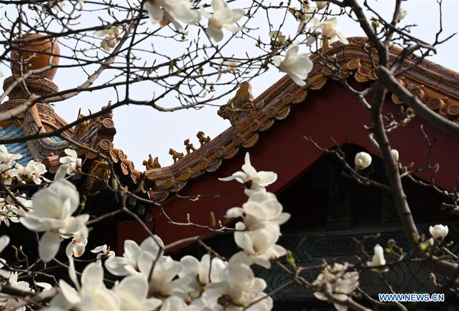 (InPalaceMuseum)CHINA-BEIJING-PALACE MUSEUM-FLOWERS (CN)