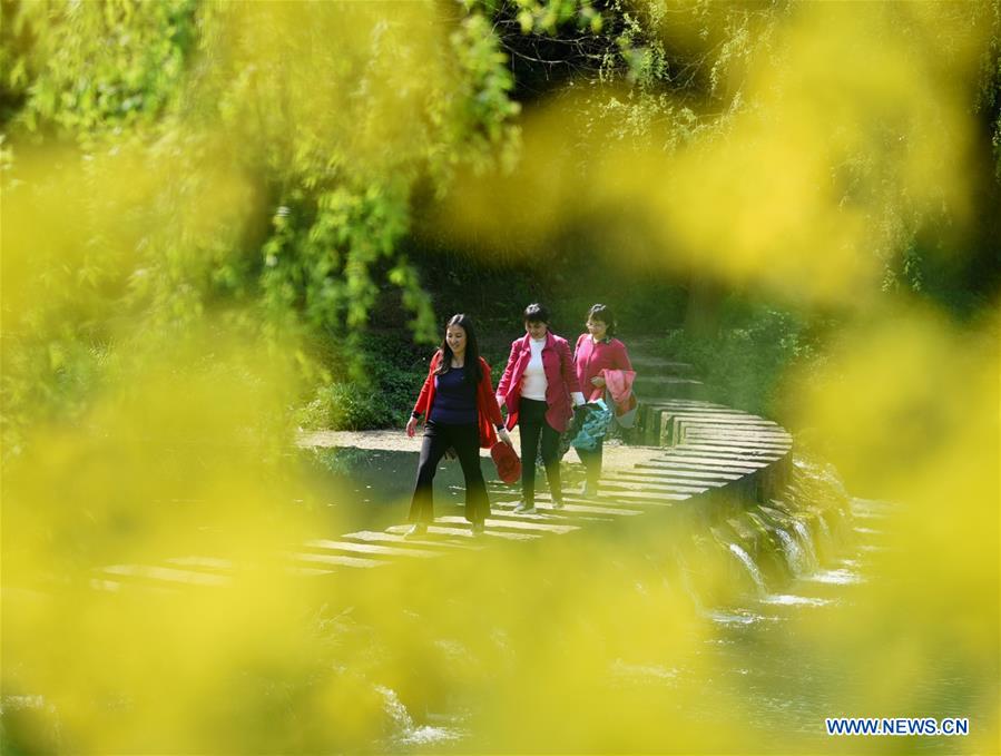 #CHINA-SPRING-FLOWERS(CN)