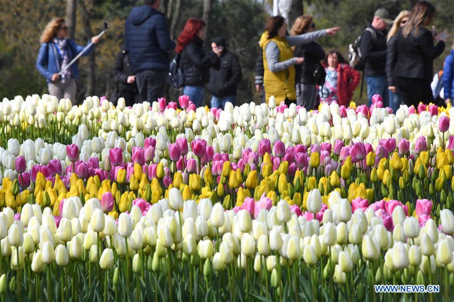 TURKEY-ISTANBUL-TULIPS