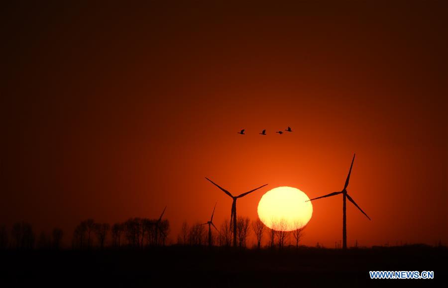 CHINA-JILIN-NATURE RESERVE-MIGRANT BIRDS (CN)