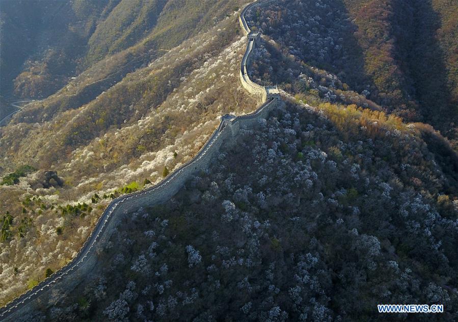 CHINA-BEIJING-GREAT WALL-SCENERY (CN)