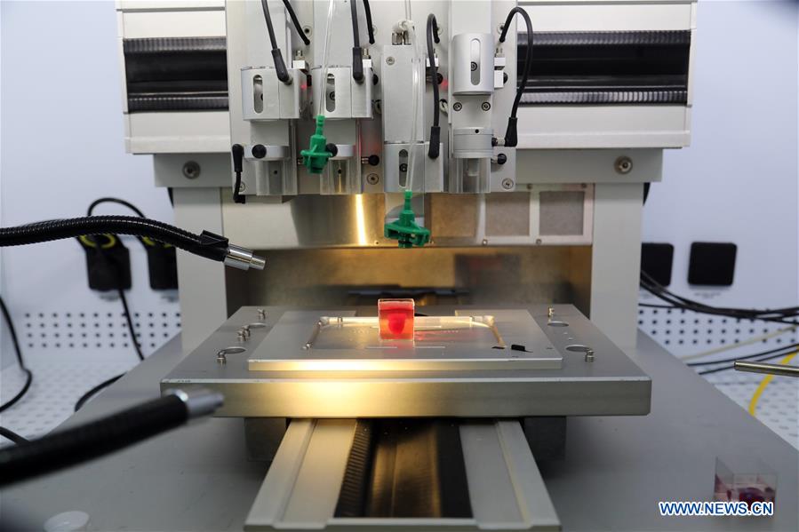 ISRAEL-TEL AVIV-HEART-3D PRINTING