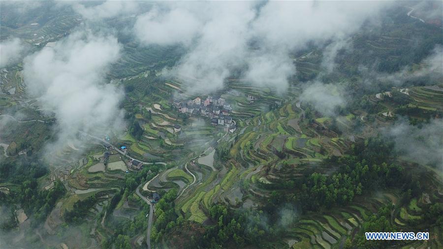 CHINA-GUIZHOU-LIPING-TERRACED FIELDS (CN)