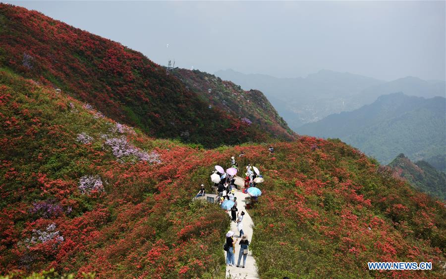 CHINA-GUIZHOU-DANZHAI-SCENERY