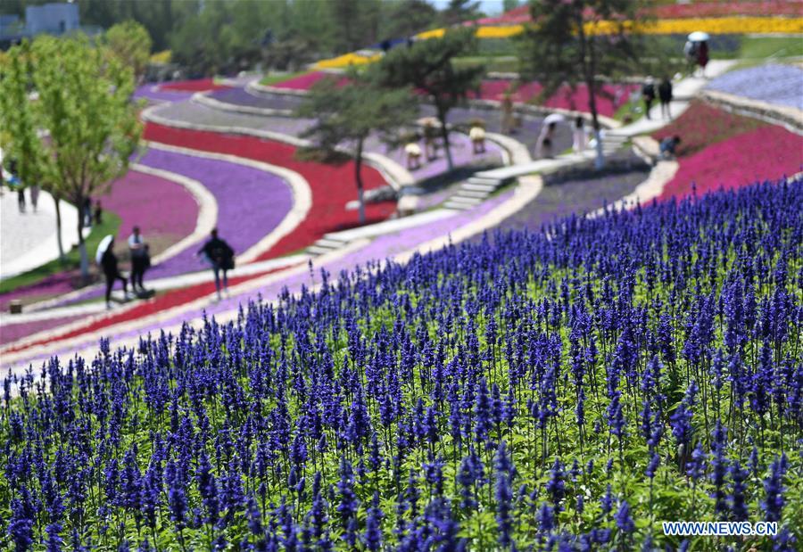 CHINA-LABOR DAY HOLIDAY-FLOWER (CN)